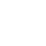 1Lanza_Vieira_Faggundes