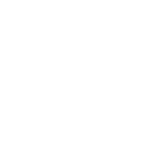 Mentoring